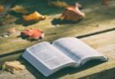 What can the Bible teach us about wellbeing?